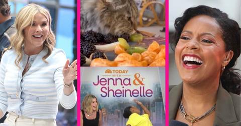 Jenna Bush Hager,Sheinelle Jones