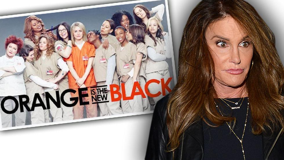 Orange is the new black cameo caitlyn jenner season four