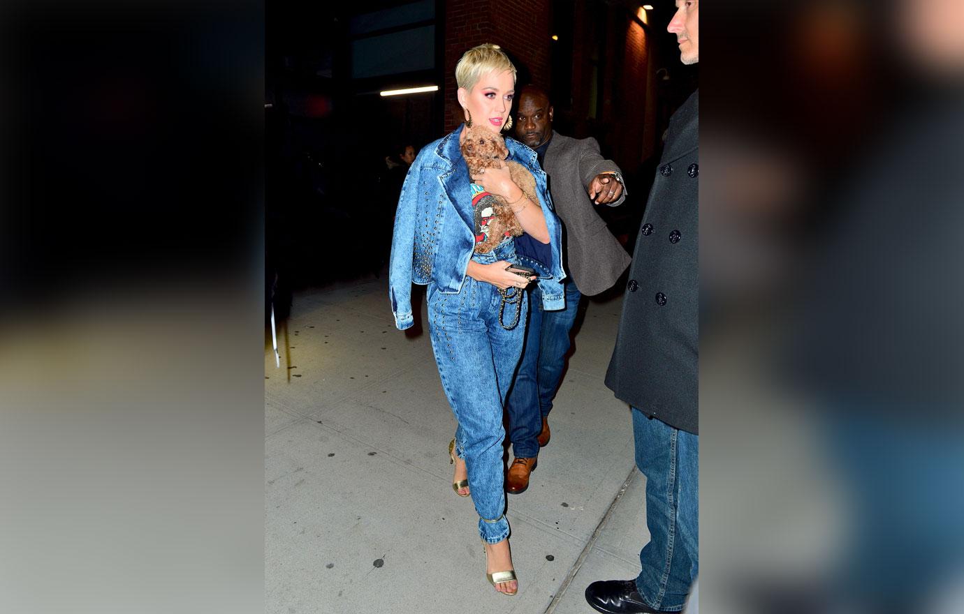 Katy Perry looks striking in denim as she leaves American Idol with her puppy in NYC