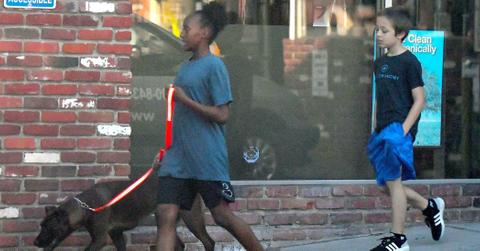 zahara knox jolie pitt parents divorce new dog long