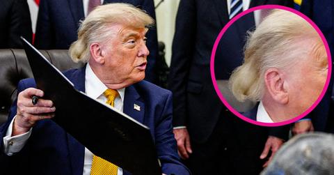Photo of Donald Trump's signature blonde coif has undergone a transformation into what critics dubbed a 'MAGA Mullet.'
