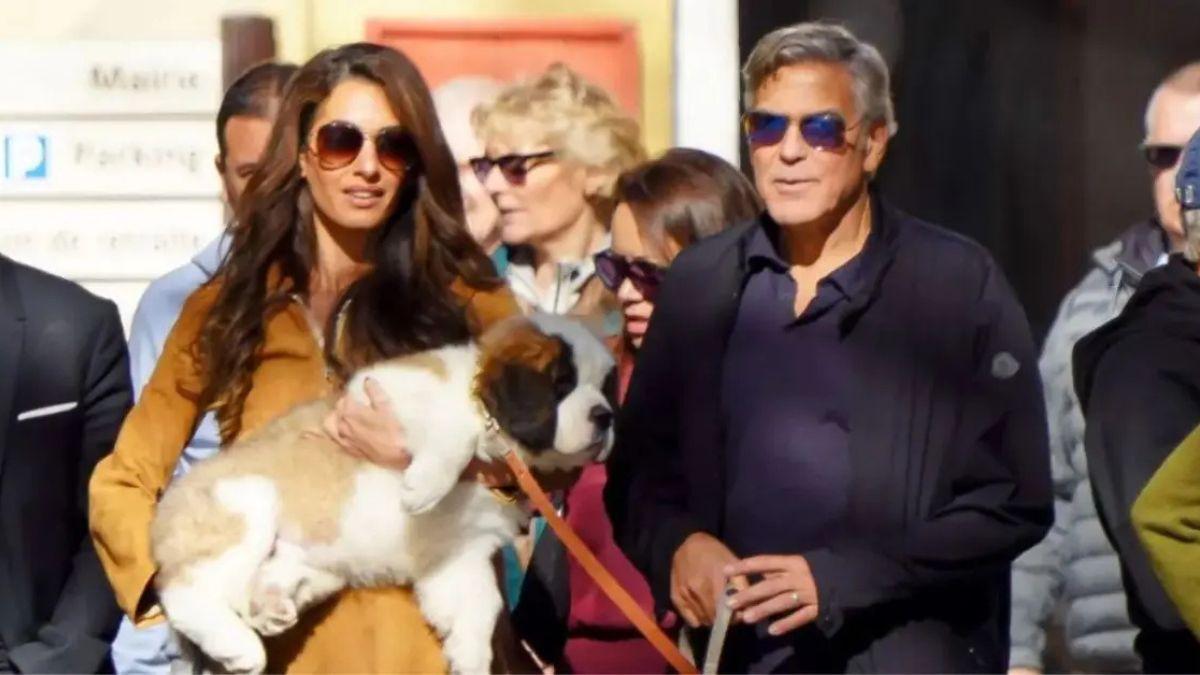 Photo of Amal Clooney urged her husband, George Clooney, to stop drinking so he could 'properly take care of his family.'