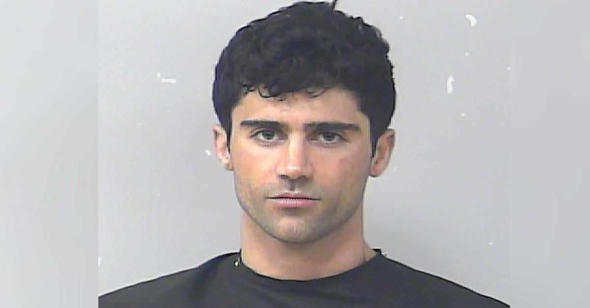 demi lovator ex max ehrich mugshot