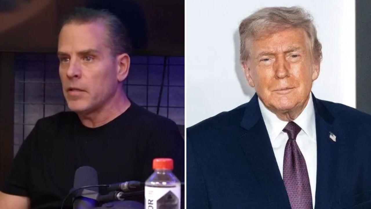 Photo of Hunter Biden and Donald Trump