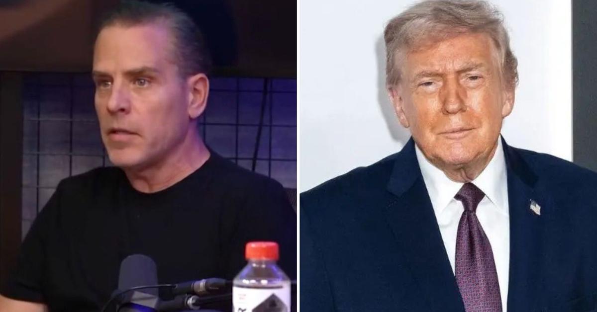 Hunter Biden Torches Donald Trump's Family in Furious Rant, Says He Wants Their Names Remembered in 'Ignominy'