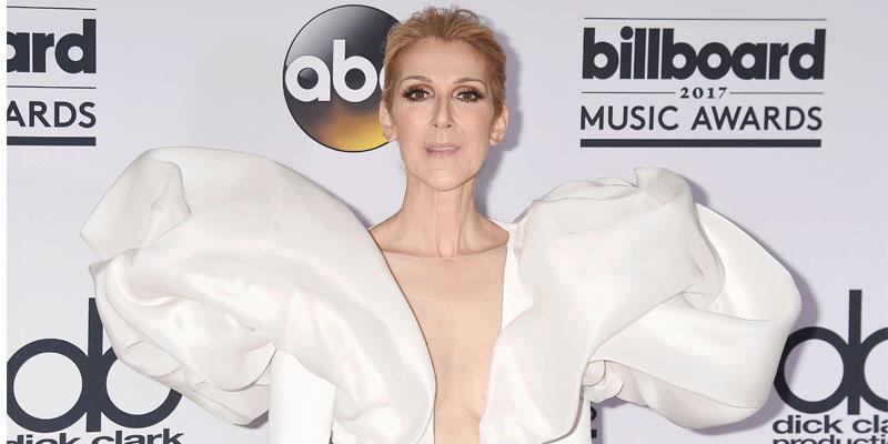 Celine dion gets humped by fan video ok pp