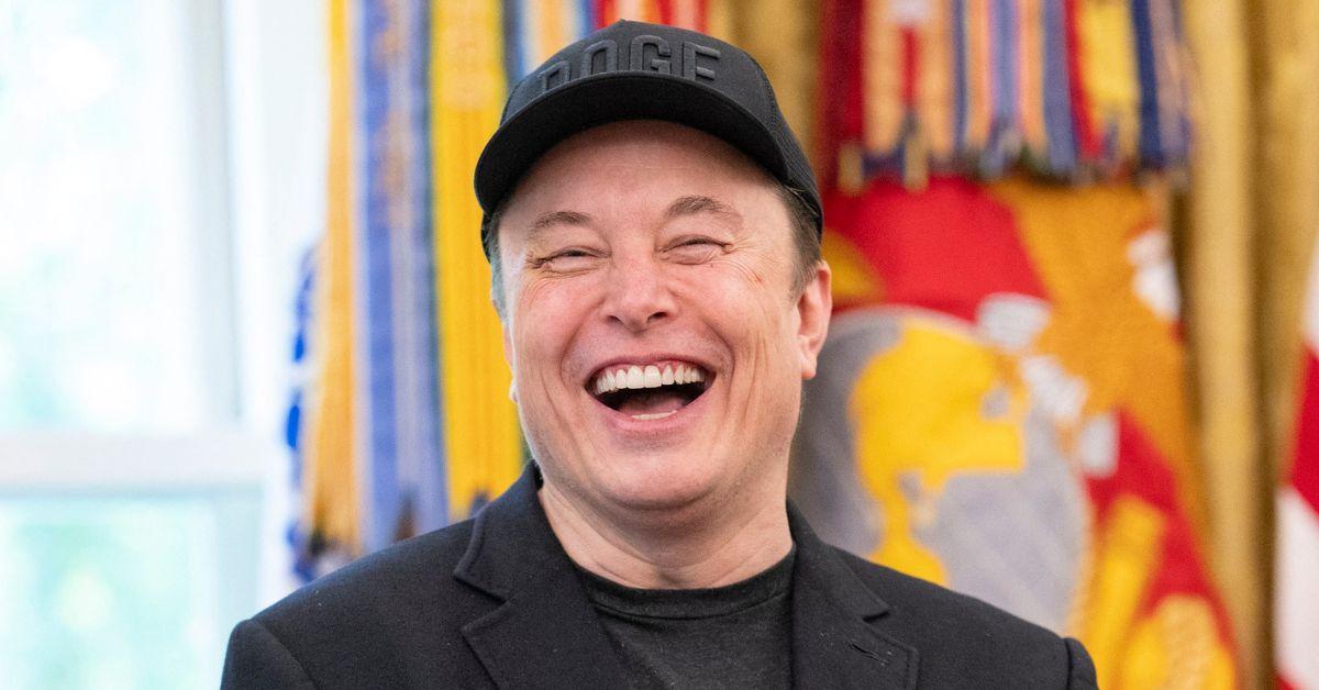 elon musk