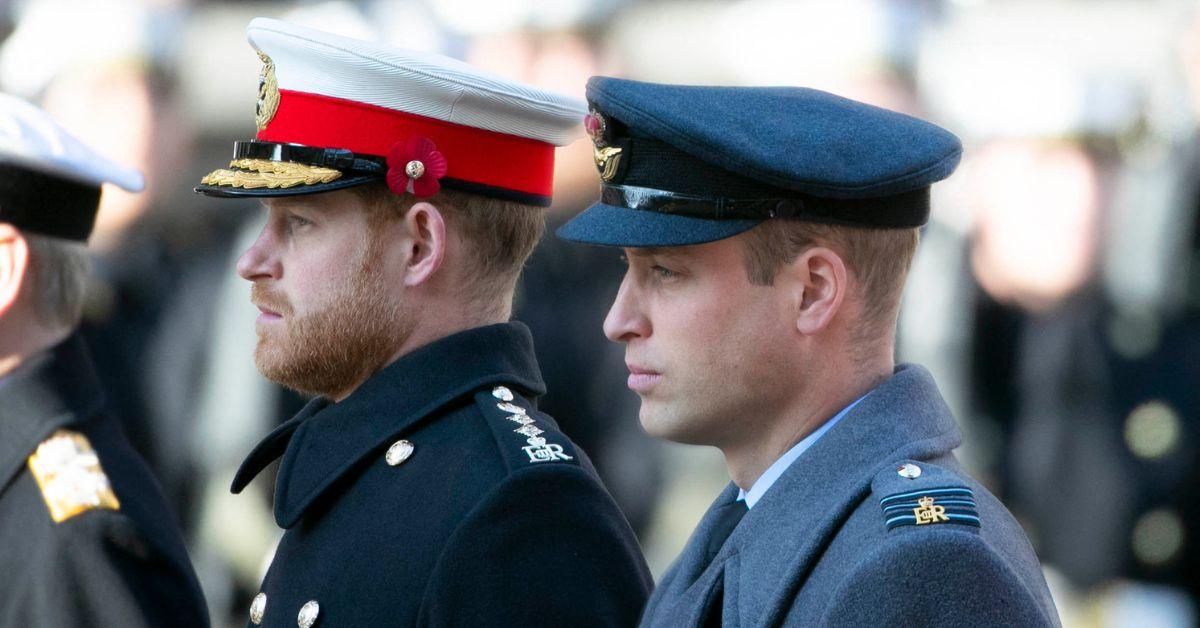 prince harry and prince william