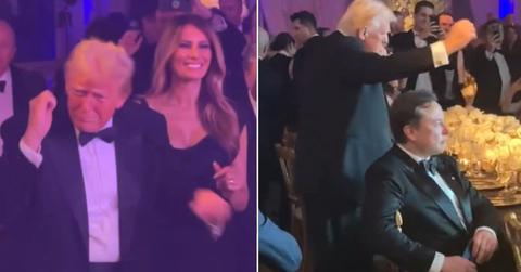 Composite photo of Donald Trump, Melania Trump and Elon Musk