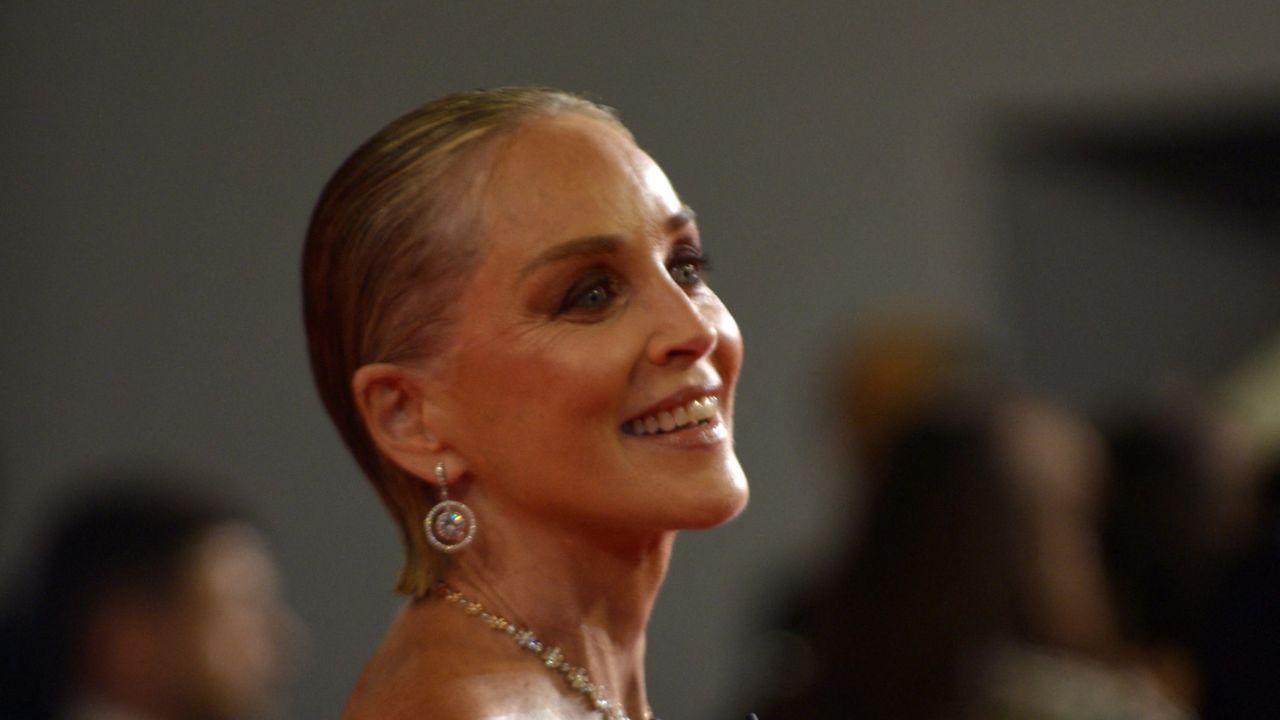 image of Sharon Stone has three adopted sons.