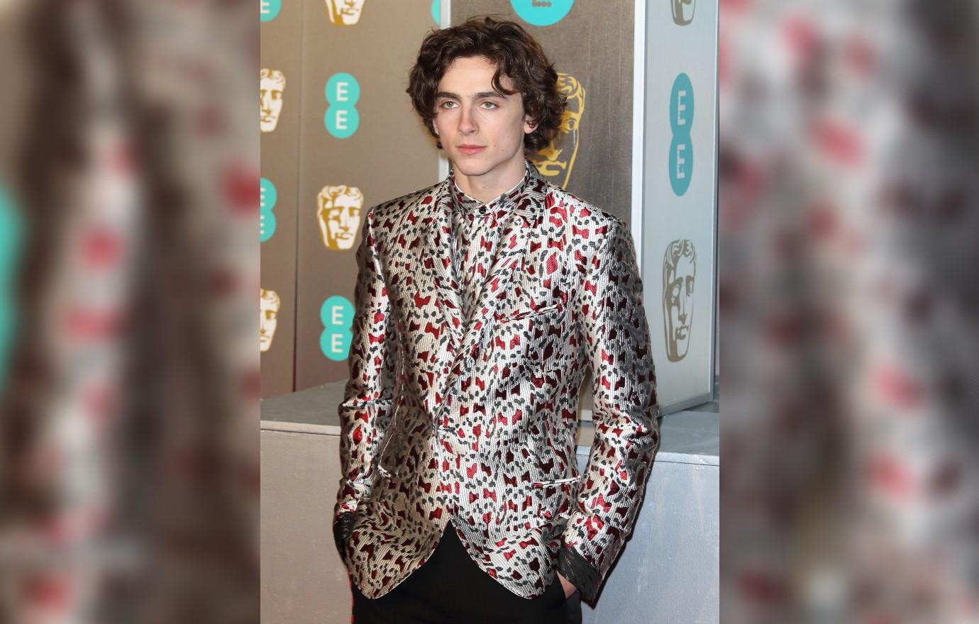 timothee chalamets most iconic red carpet looks