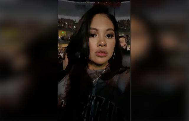 Chris Brown’s Rumored Baby Mama Ammika Harris Attends His Concert