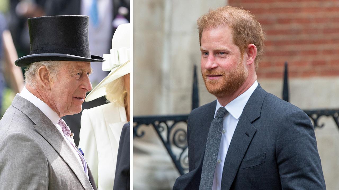 King Charles,Prince Harry