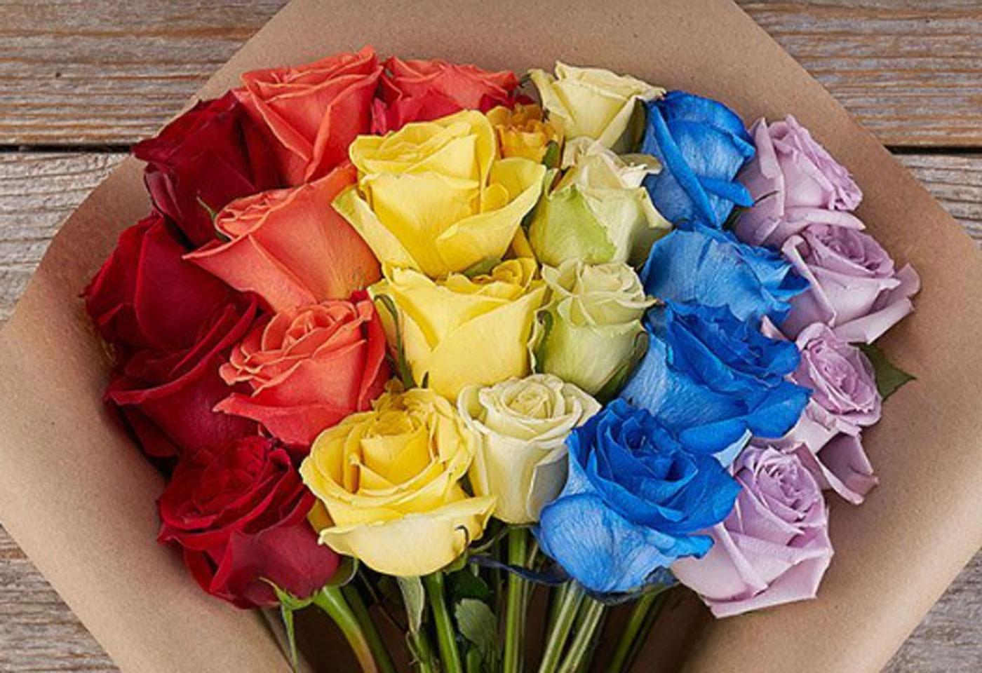 rainbow roses