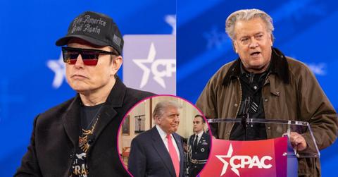 Composite Photo of Steve Bannon, Donald Trump and Elon Musk