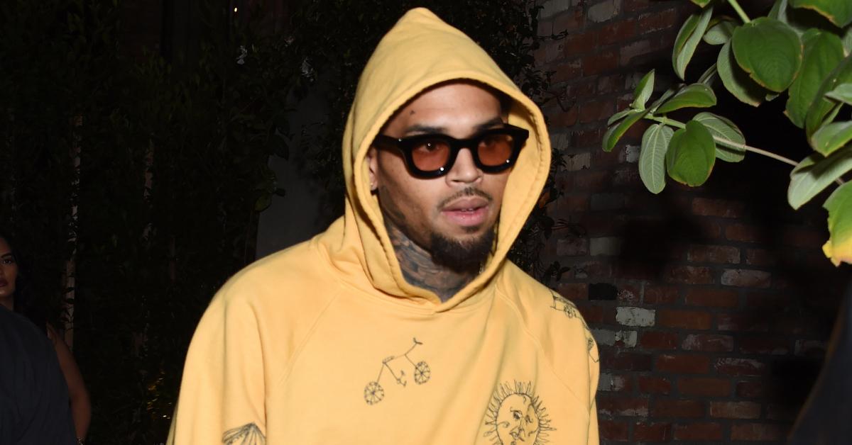 chris brown former housekeeper wants  million dog attack pp