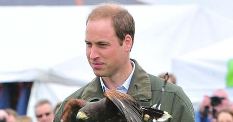 Prince William Handles A Falcon