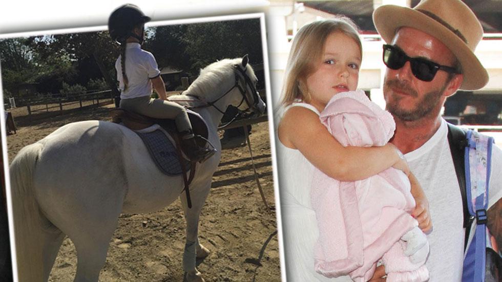 Harper beckham horse back riding lesson