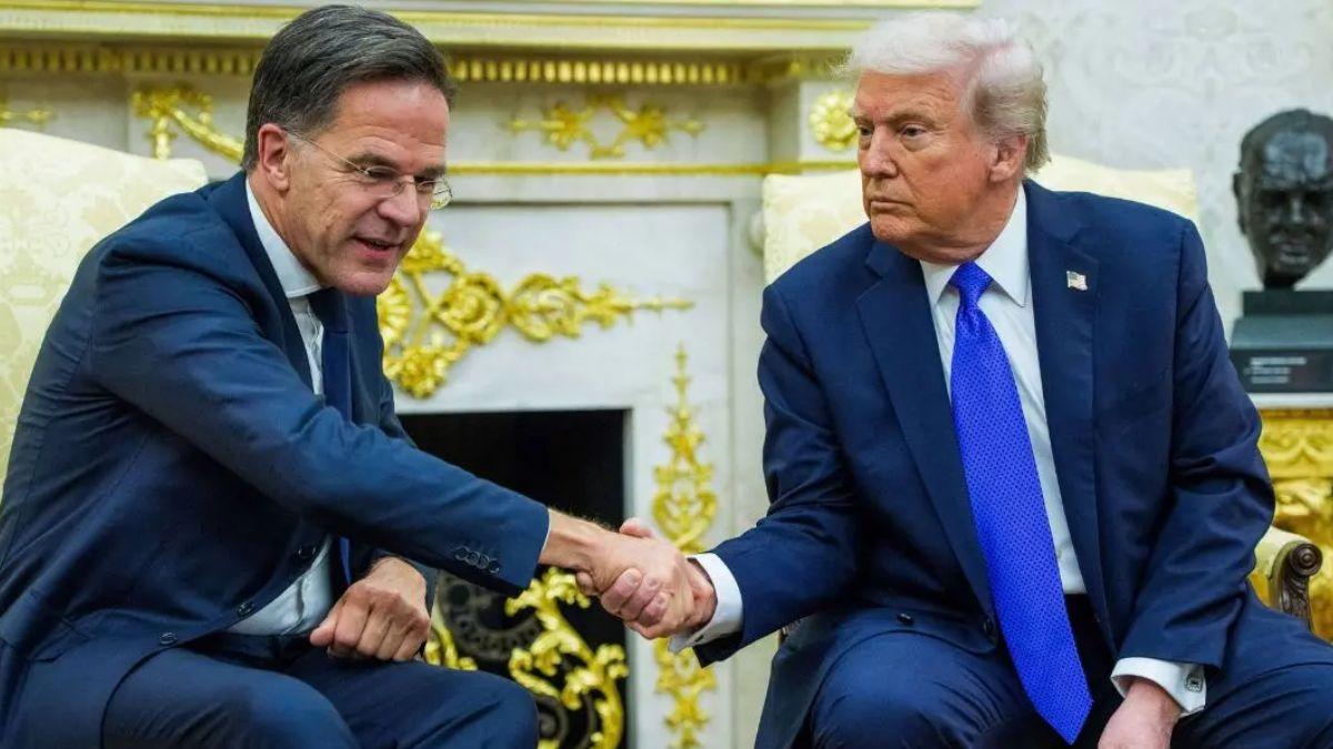 image of Mark Rutte referred to Donald Trump as 'daddy' in June 2025.