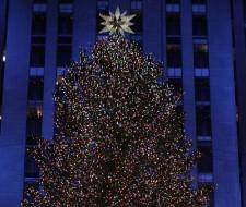 2009__12__wenn5216897 225×190.jpg