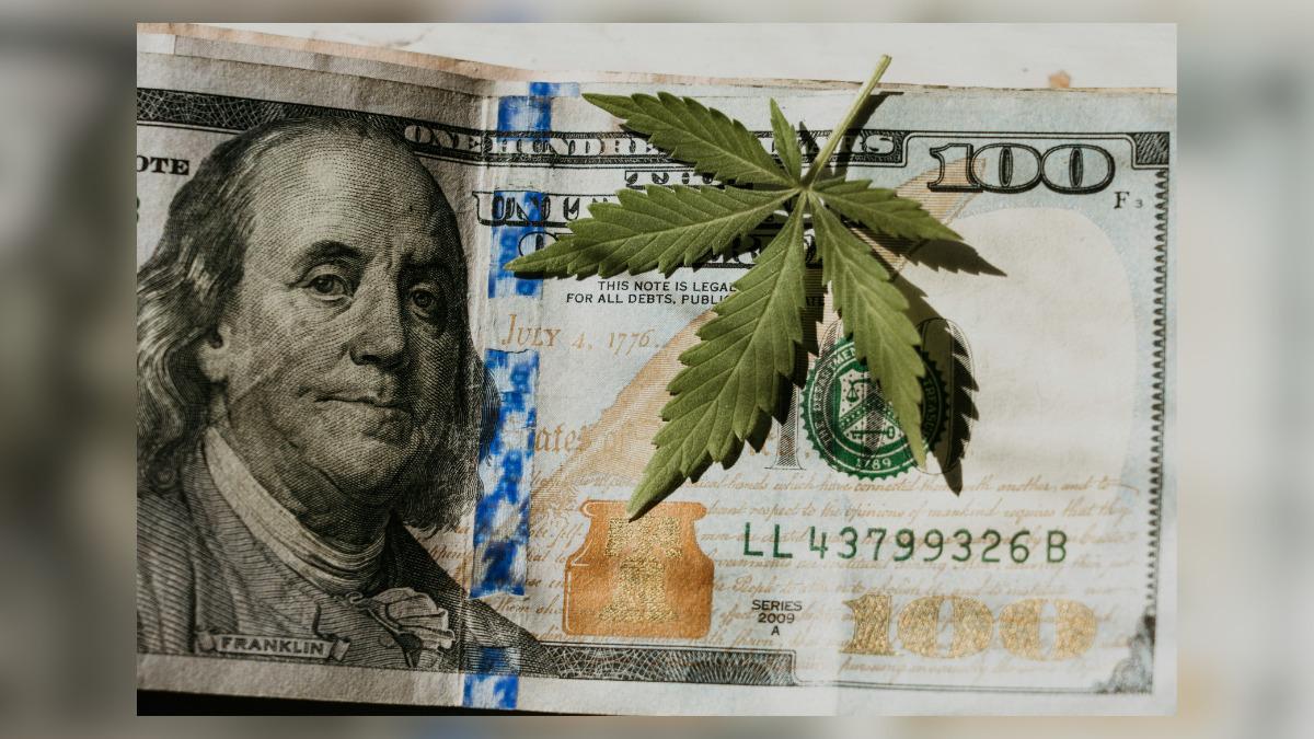 lender says  million loan became personal piggybank for owners of cannabis dispensary backed by ice t