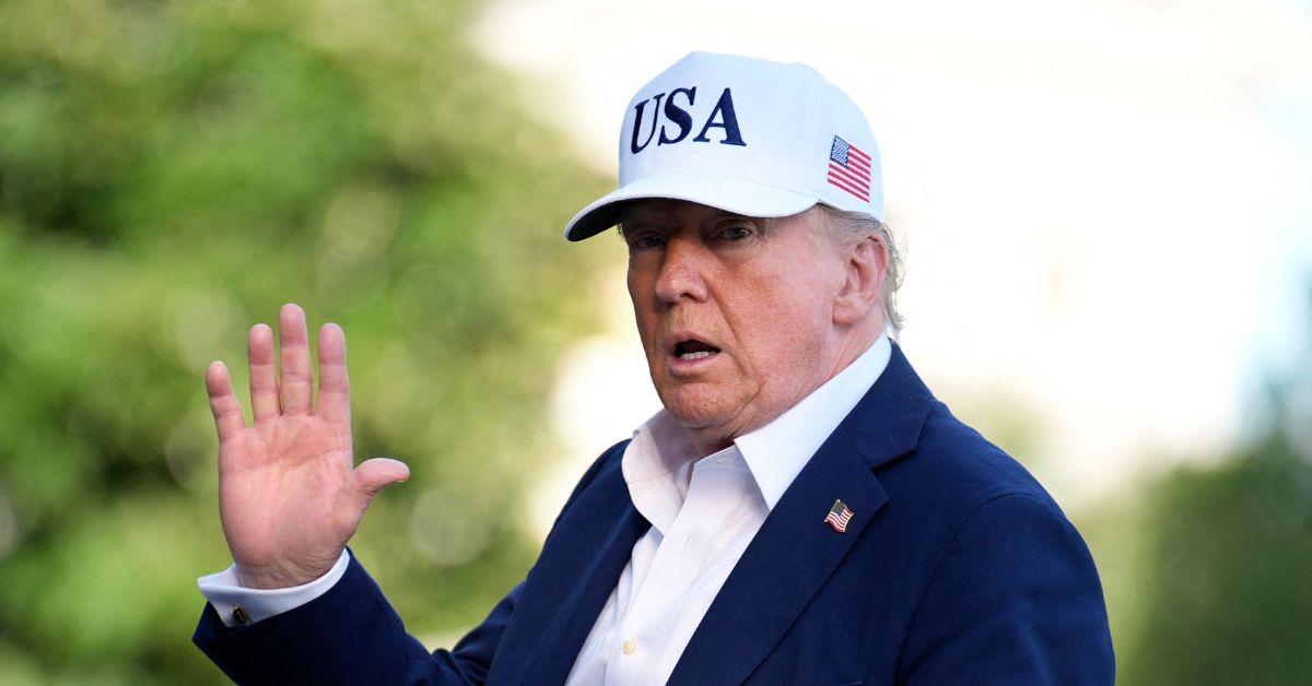 image of Donald Trump described Jeffrey Epstein as 'a lot of fun to be with.'