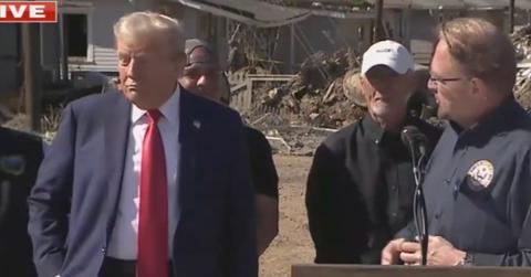 donald trump pin french fry