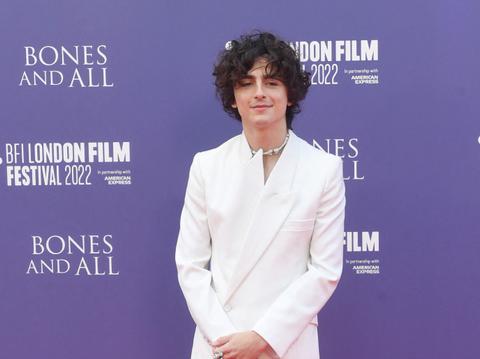 Are Kylie Jenner & Timothee Chalamet Dating?