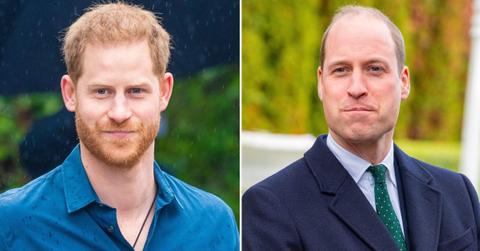 prince harry spoken prince william prince charles meghan markle oprah winfrey interview