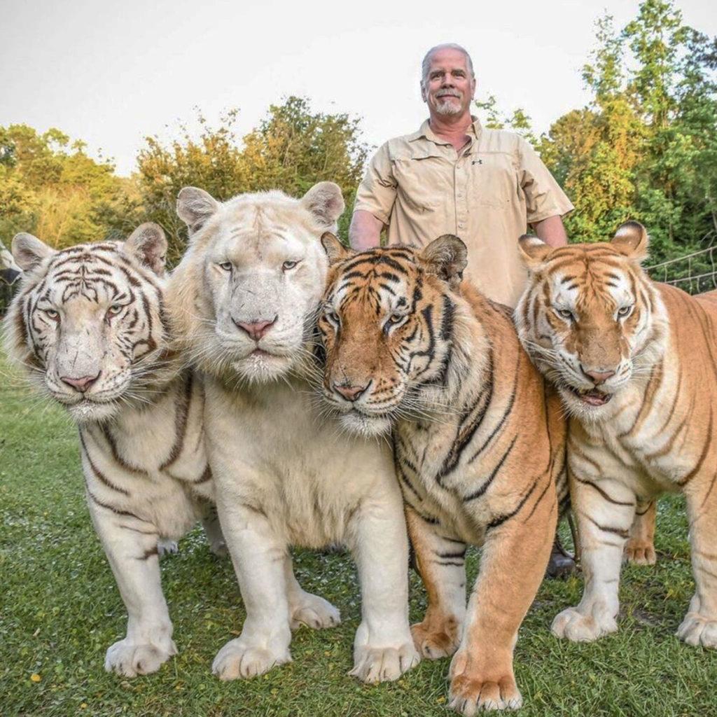 Bhagavan "Doc" Antle With His Tigers