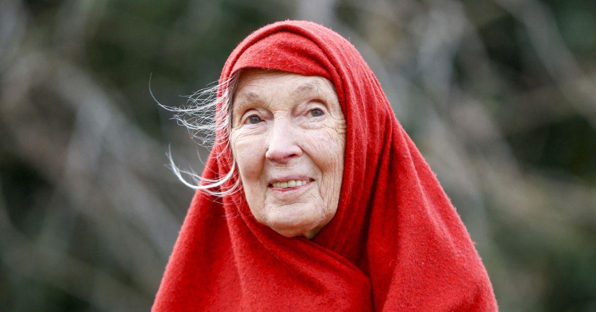 jane goodall family husband sibling son