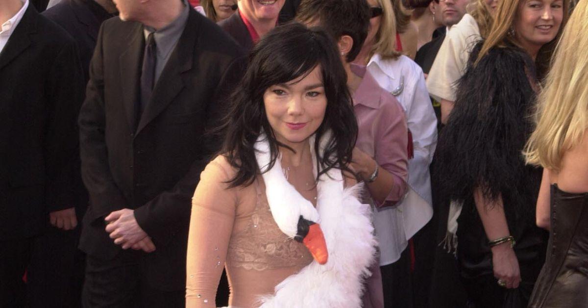 bjork arrived in swan outfit