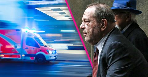 Harvey Weinstein