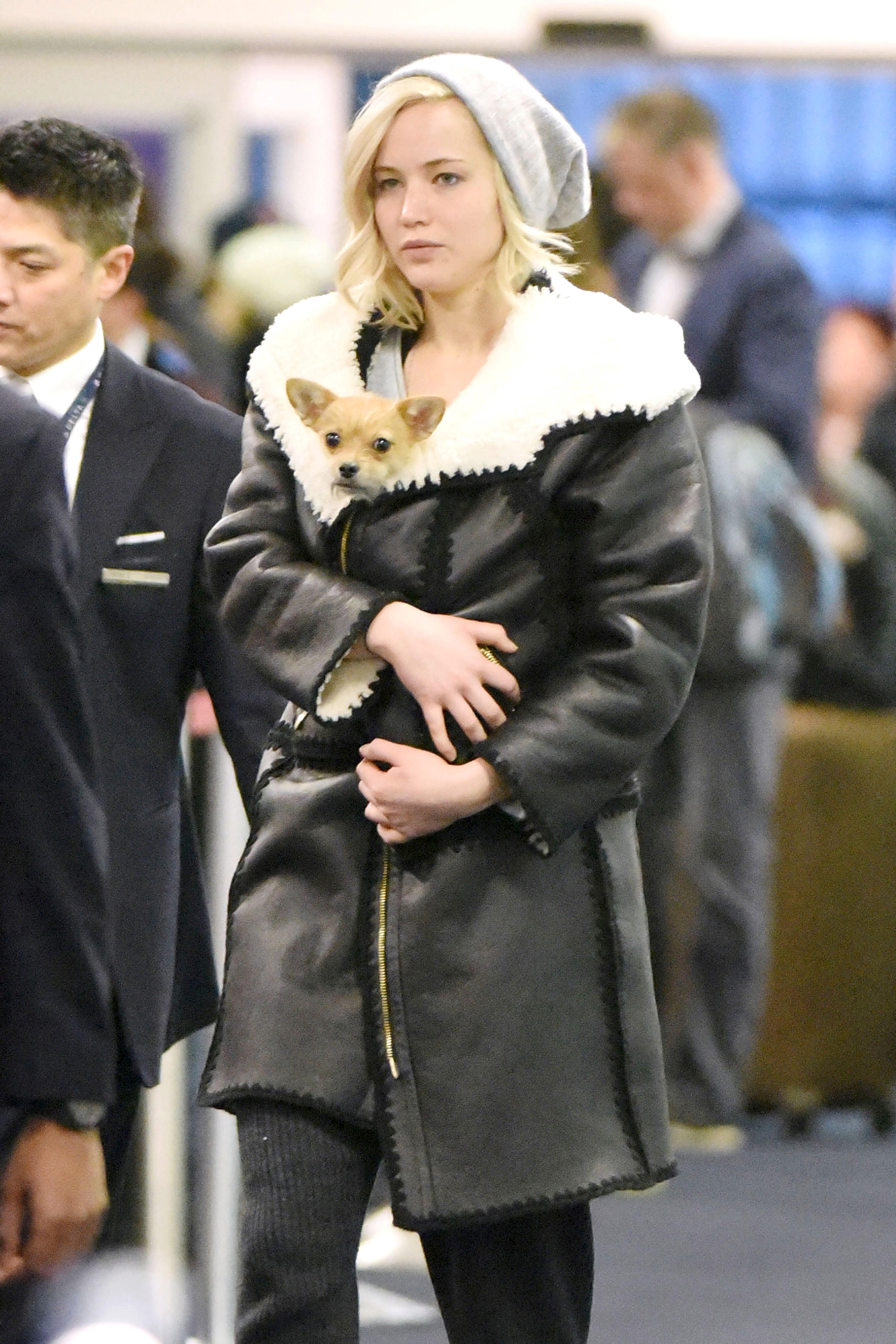 Jennifer lawrence holds dog arrive nyc airport 01