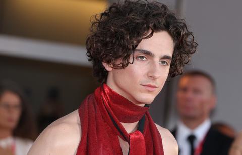 timothee chalamet