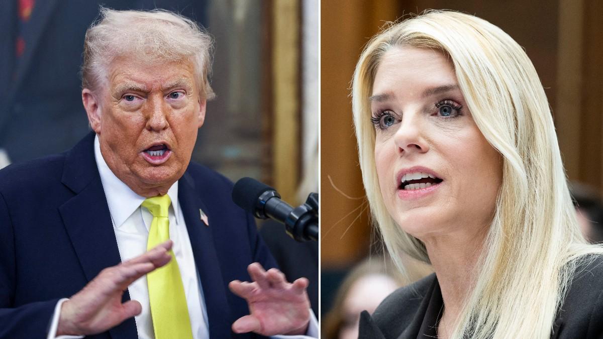 Split photo of Donald Trump and Pam Bondi