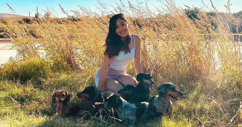 woman spends thousands building sausage dog family with seven dachshunds ok