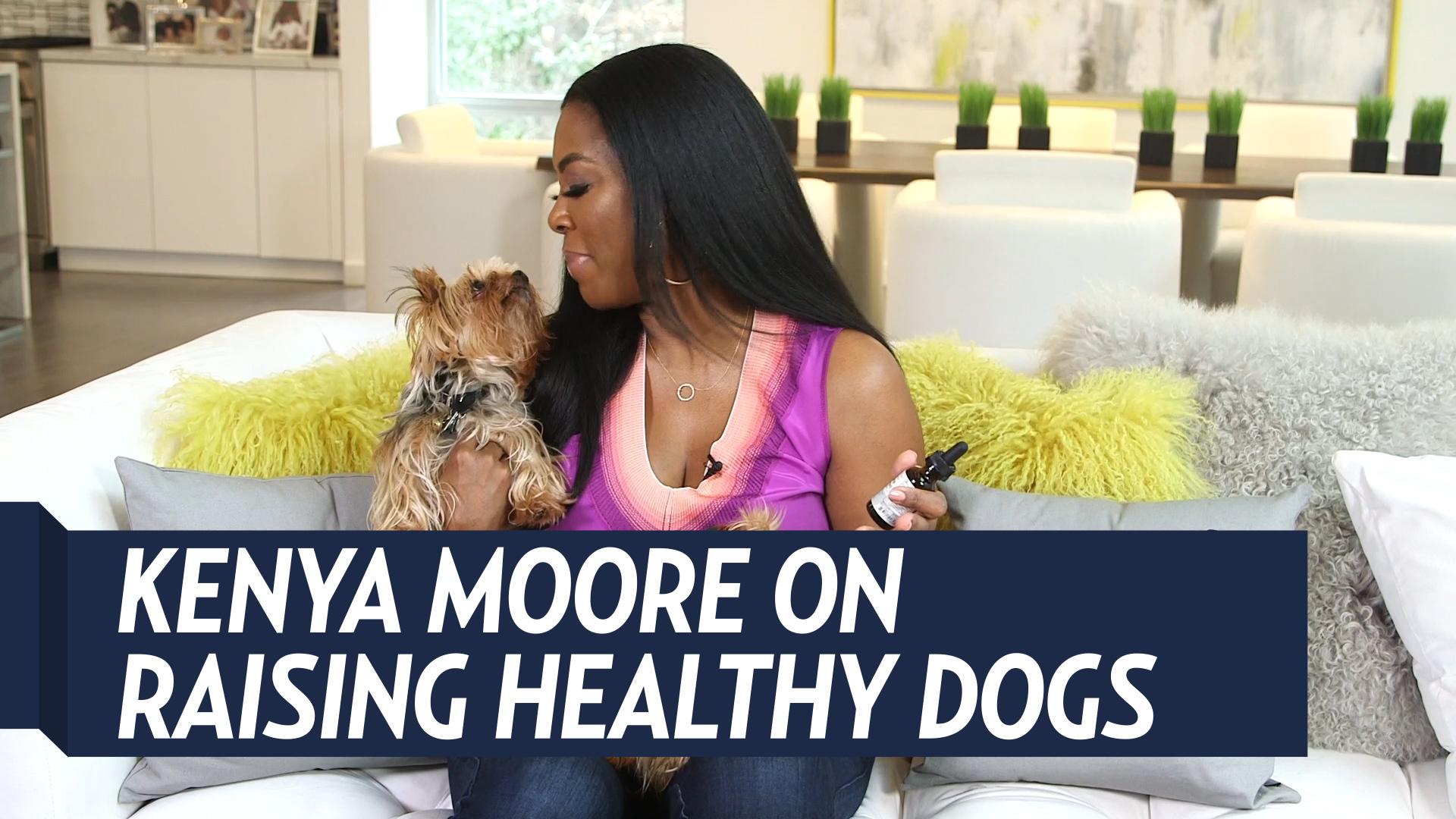 Kenya Moore Dogs