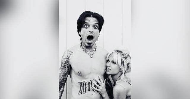 lily james sebastian stan pamela anderson tommy lee hulu trailer ok