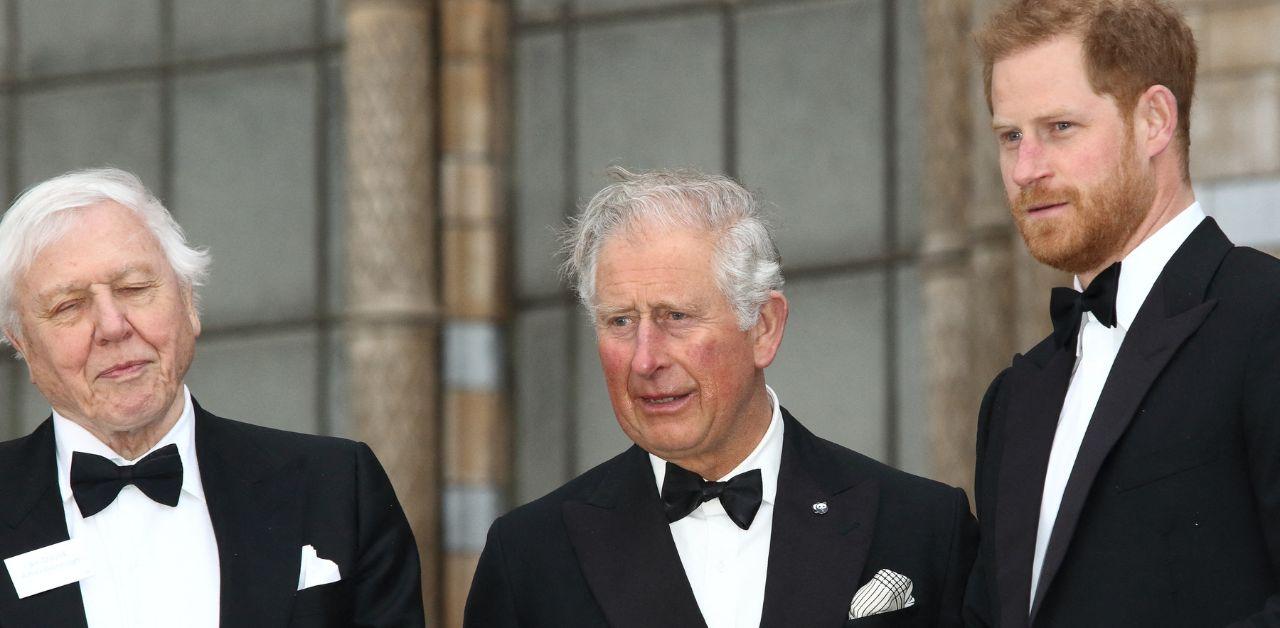 king charles left door open reconcile prince harry