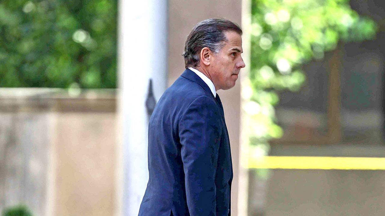 photo of Hunter Biden feels Donald Trump divided the country.