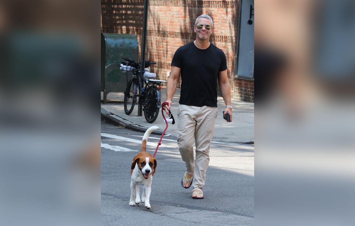 Andy Cohen is all smiles walking his dog in NYC