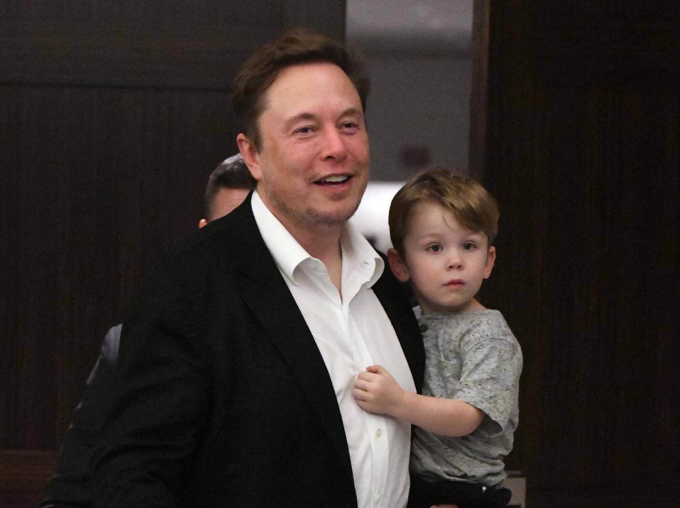 elon musk thinks con man donald trump nuts buffoonery