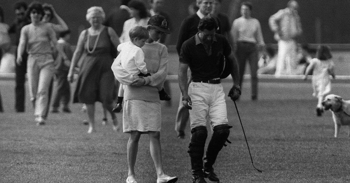 prince harry takes swipe king charles polo documentary