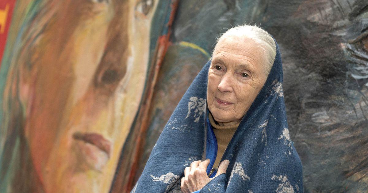 jane goodall life in photos animal welfare activist dead at