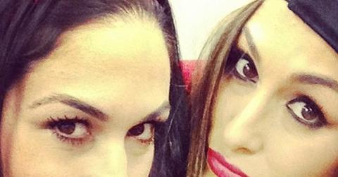 Nikki brie bella total divas season 2