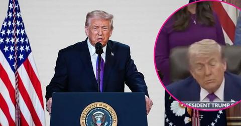 image and inset of Donald trump