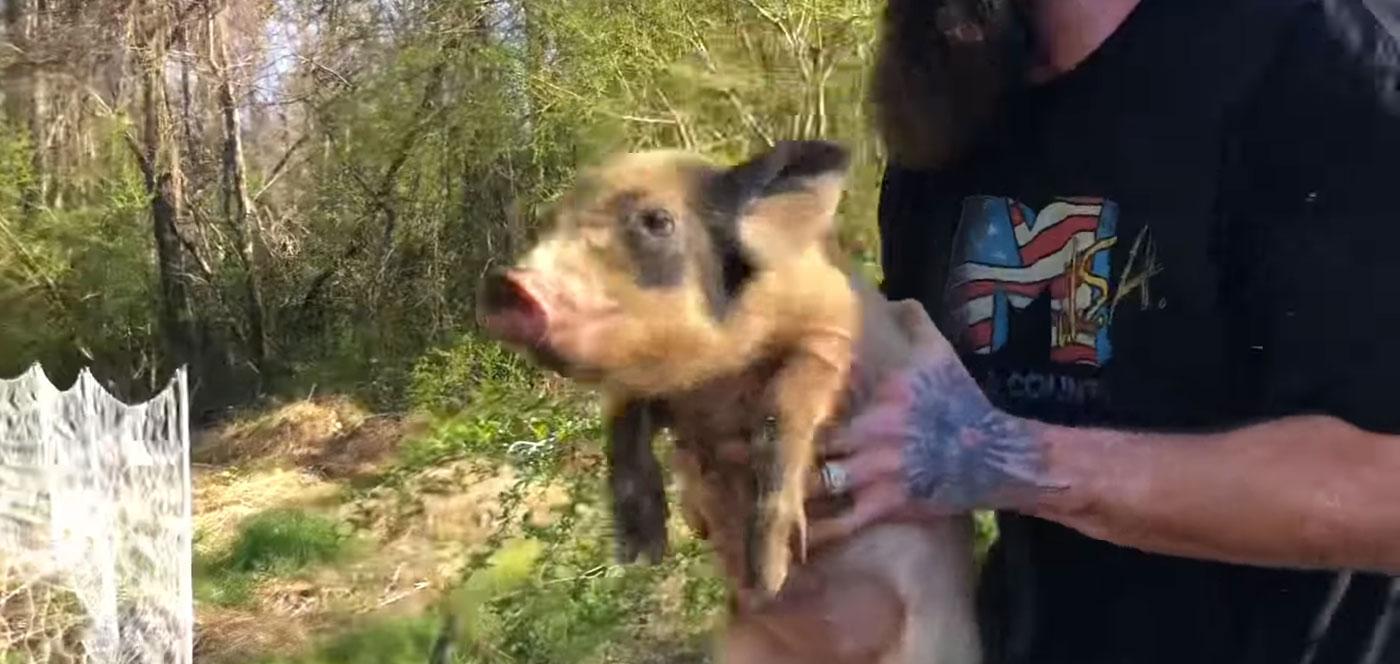 jenelle-evans-youtube-animal-video-pigs-backlash-david-eason