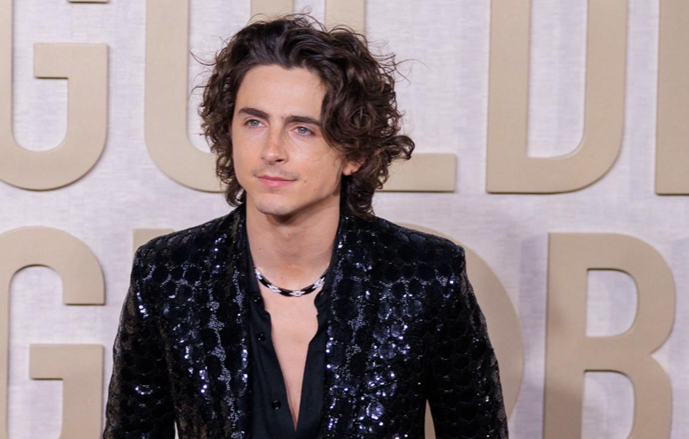 timothee chalamet golden globes