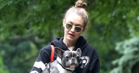 Gigi Hadid takes her French Bulldog to the park in NYC